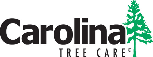 Carolina Tree Care